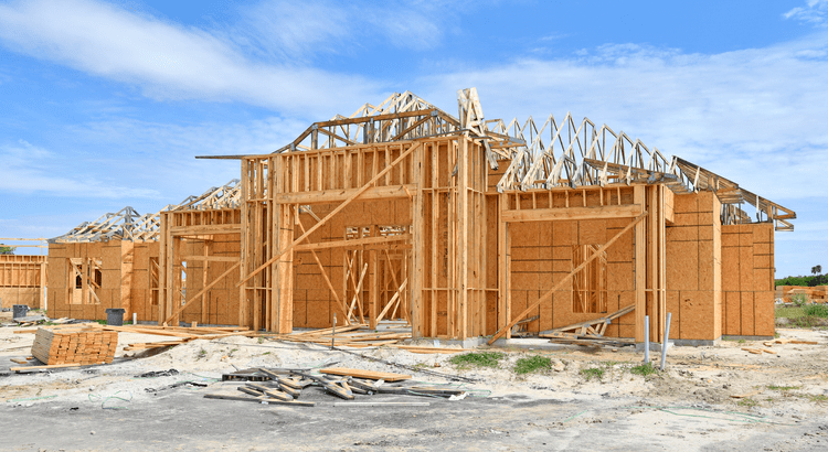 Canopy Realty | Is a Newly Built Home Right for You? The Pros and Cons