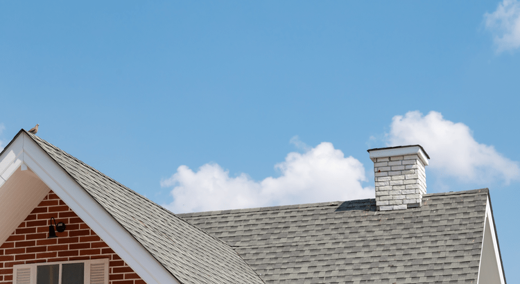 Canopy Realty | Blog