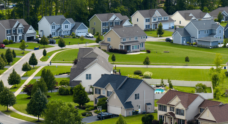 Canopy Realty | Blog