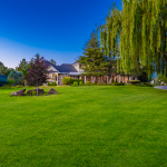 Canopy Realty | 3232 S Pajaro Pl, Eagle, ID 83616