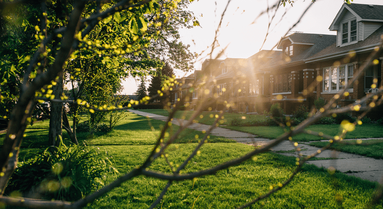 Canopy Realty | 4 Ways To Give Your Offer an Edge This Spring