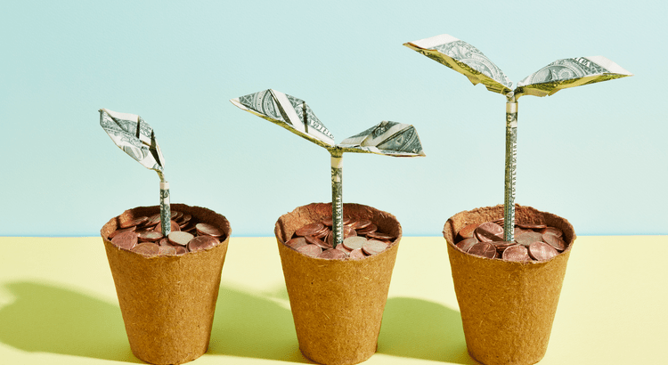 Canopy Realty | Home Price Growth Slowed Down. That May Be Changing.